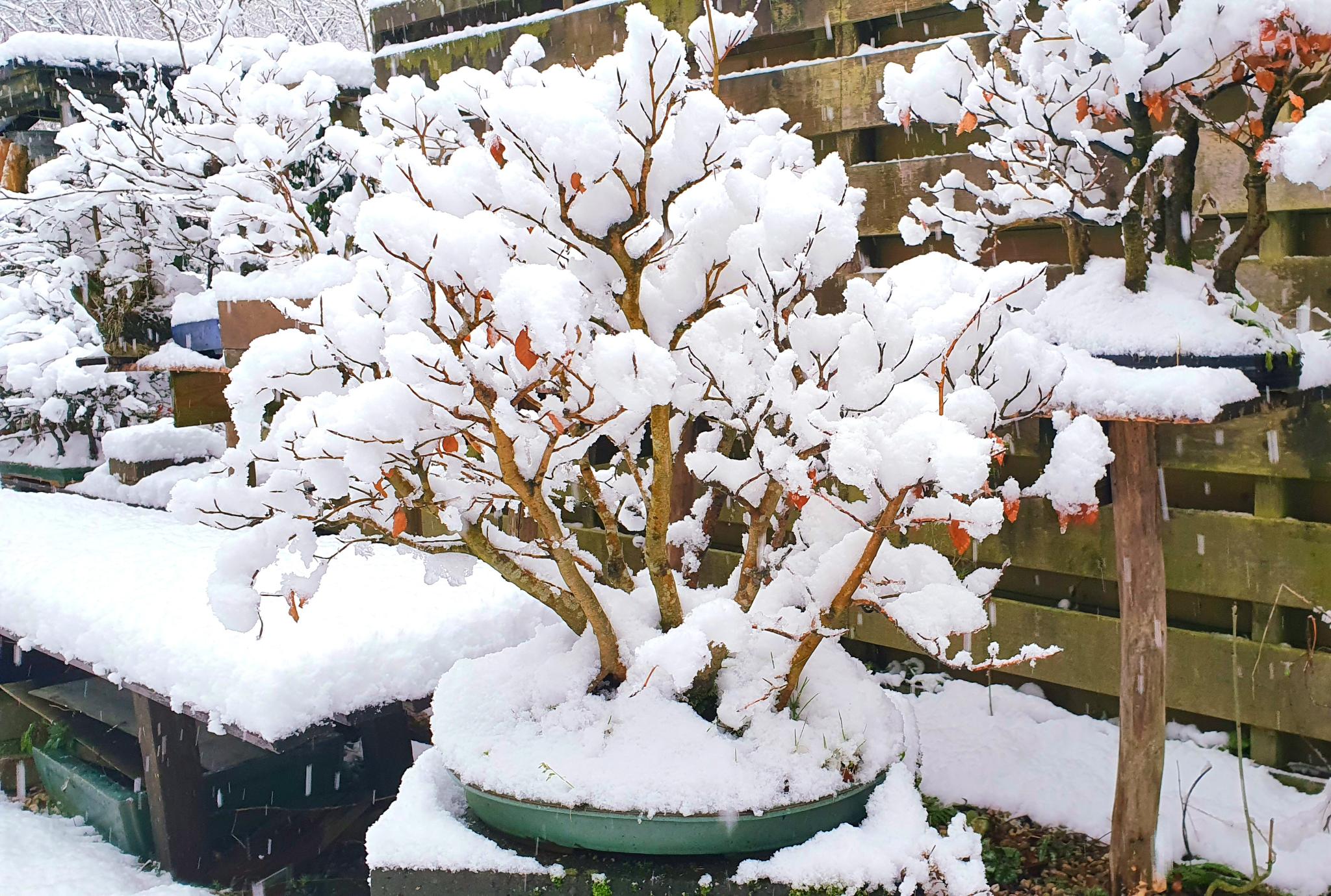 03 JAN, 2026 Winter 03 JAN, 2026 Winter